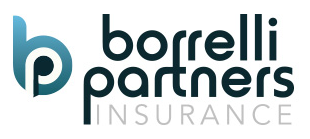 Borrelli Partners Borrelli Partners
