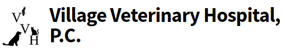village vet village vet